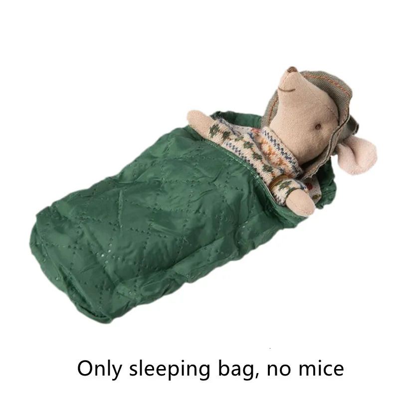 only sleeping bag