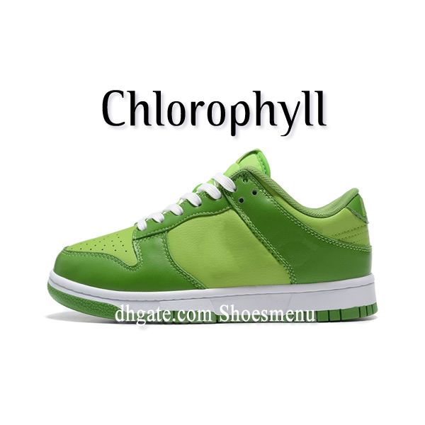 10 crianças clorofila