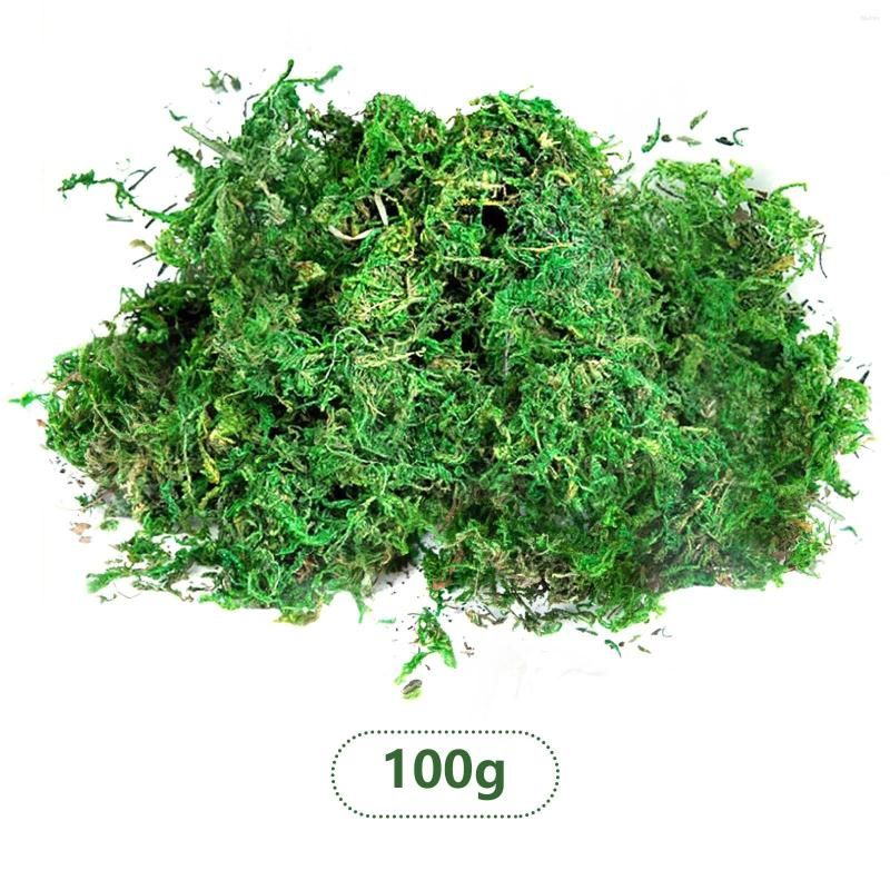 100g Natural Green Plant Dry Moss Eternal Life Moss Grass Plant