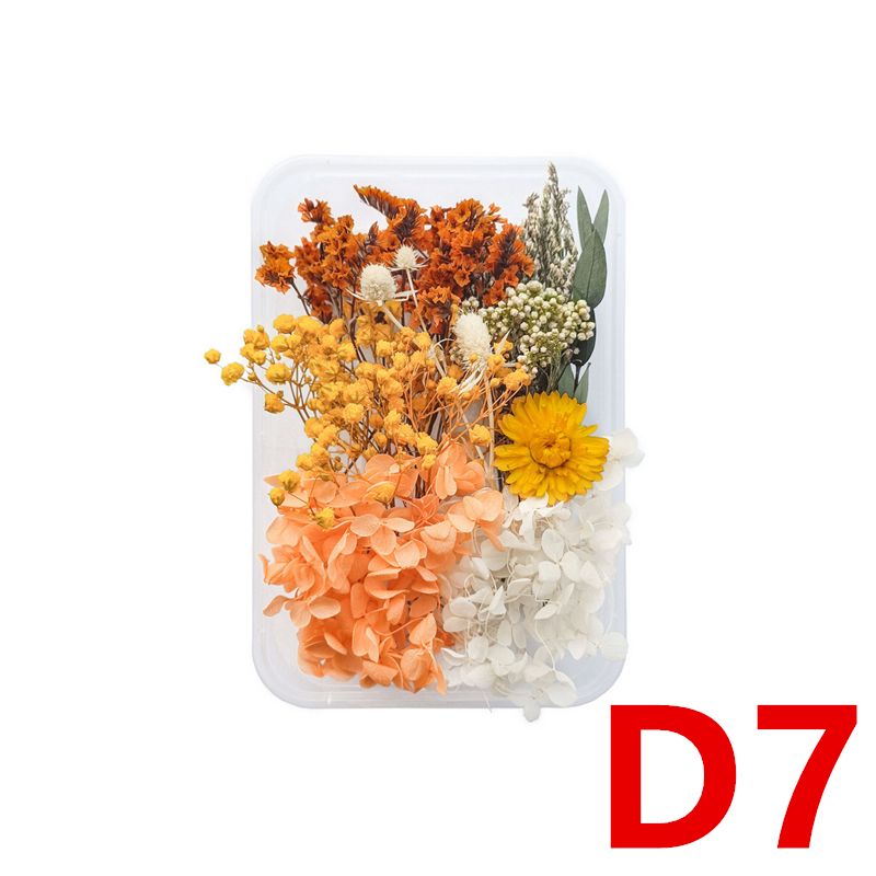 D7