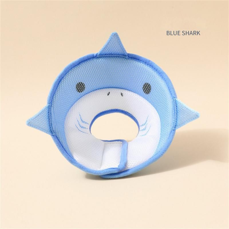 China Blue Shark