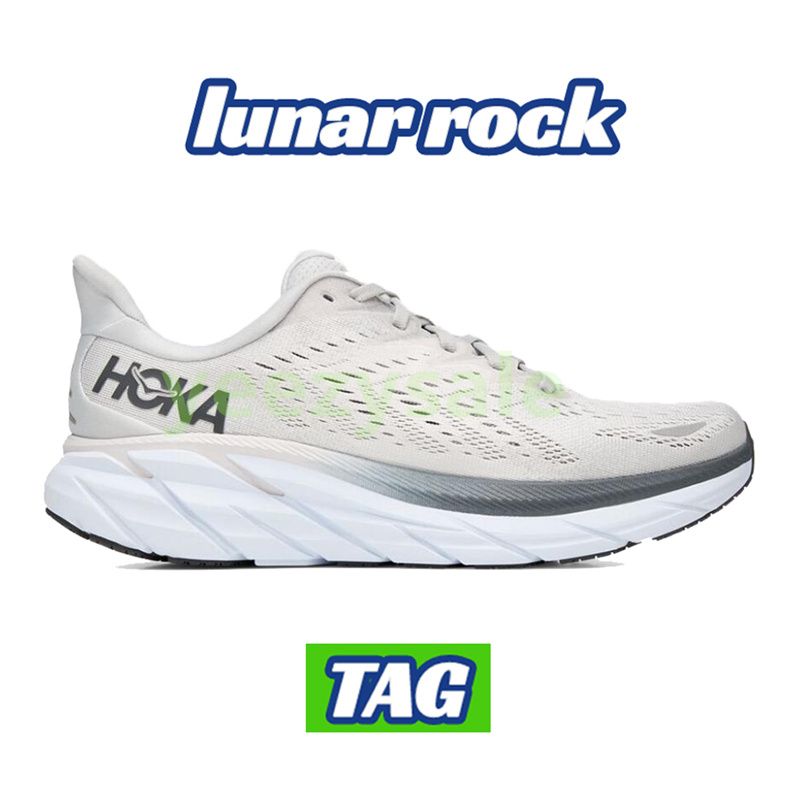 21 roca lunar