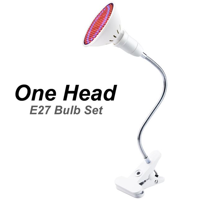 1 head and bulb