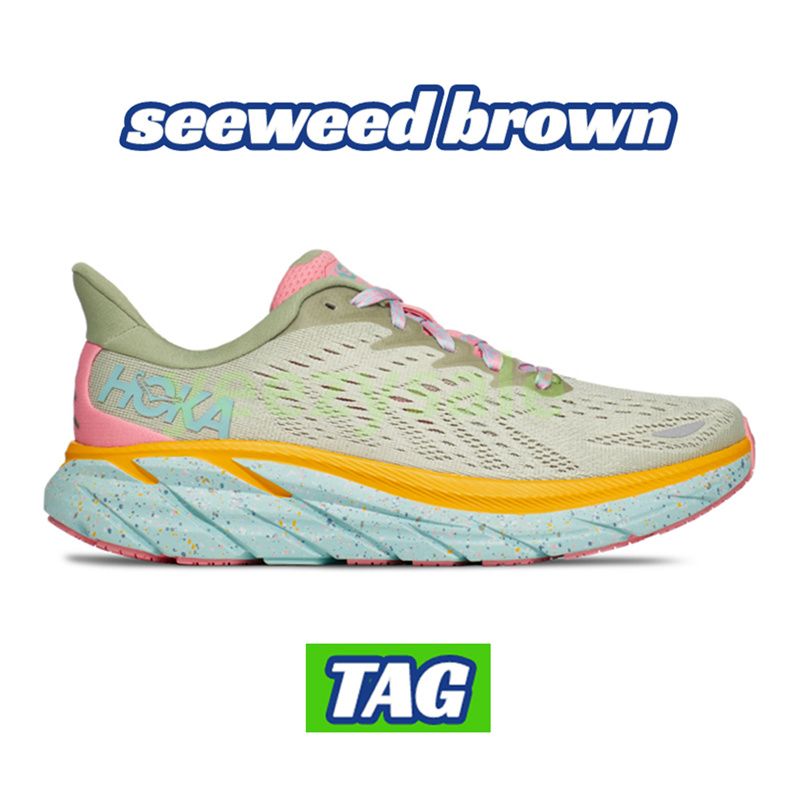 23 Seeweed Brown
