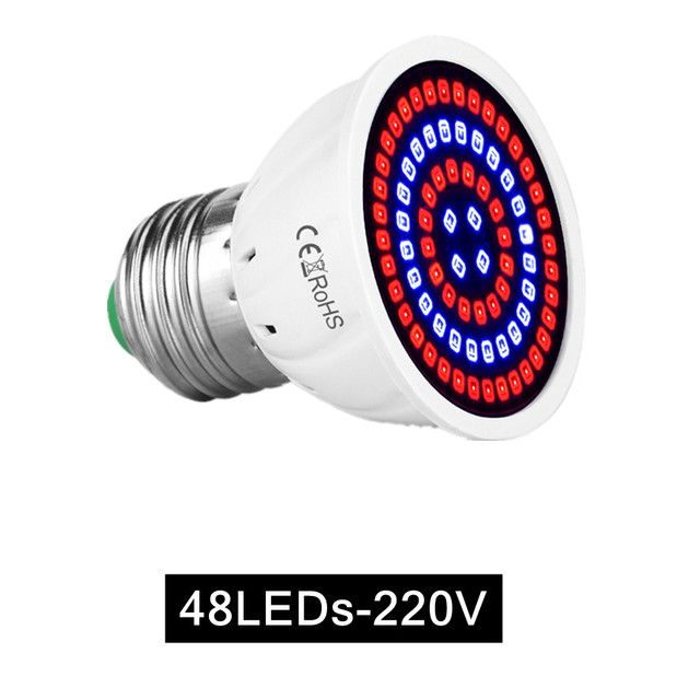 48leds-220v