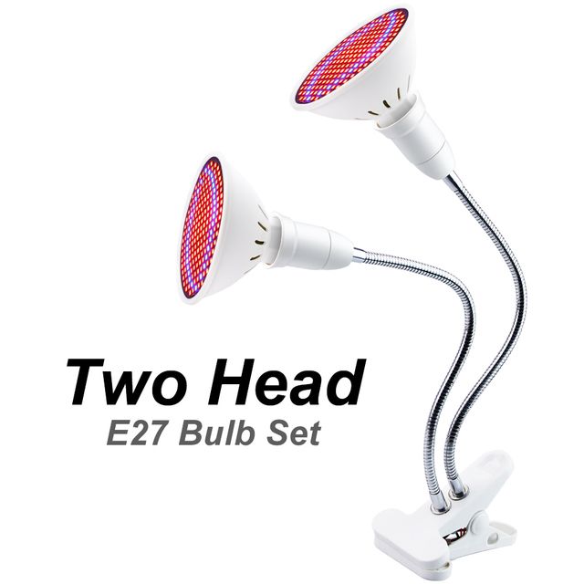 2 head and bulb