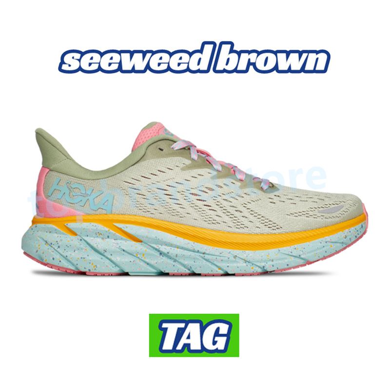 23 seeweed brown