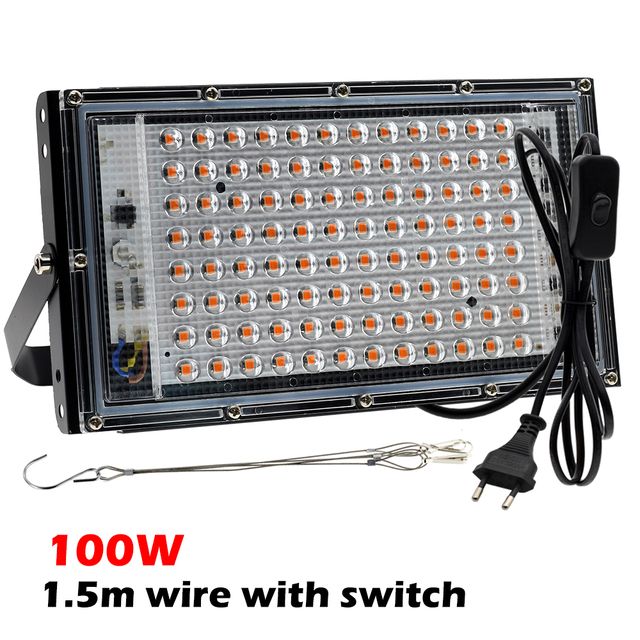 플러그가있는 100W 전용 램프