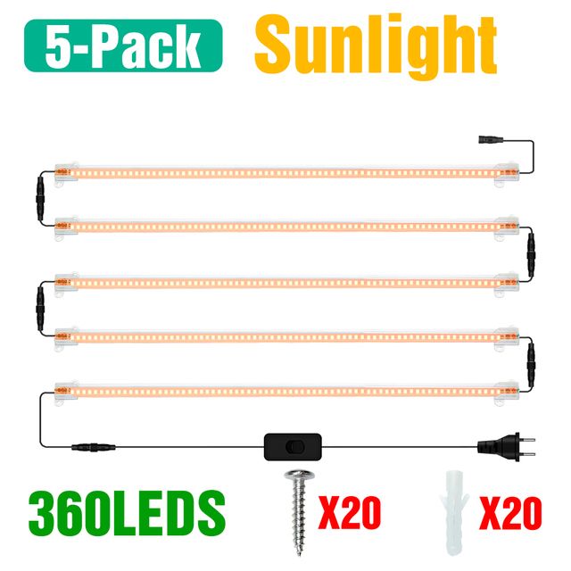 5-pack zonlicht