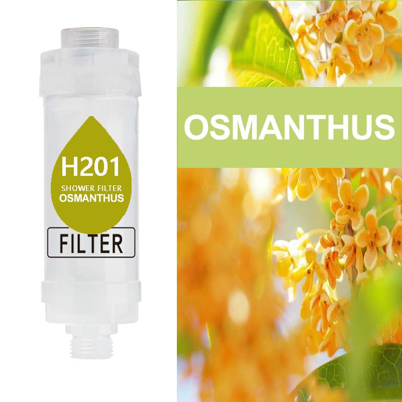 Osmanthus