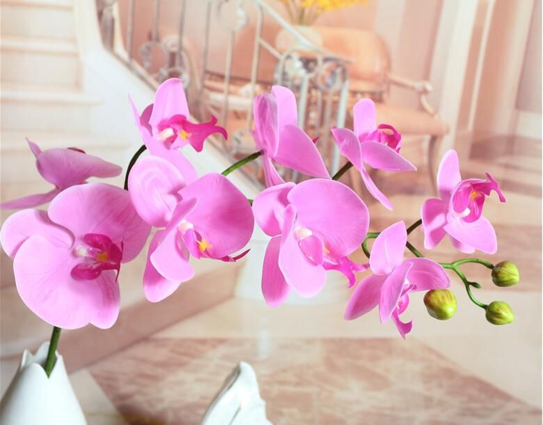 pink orchid