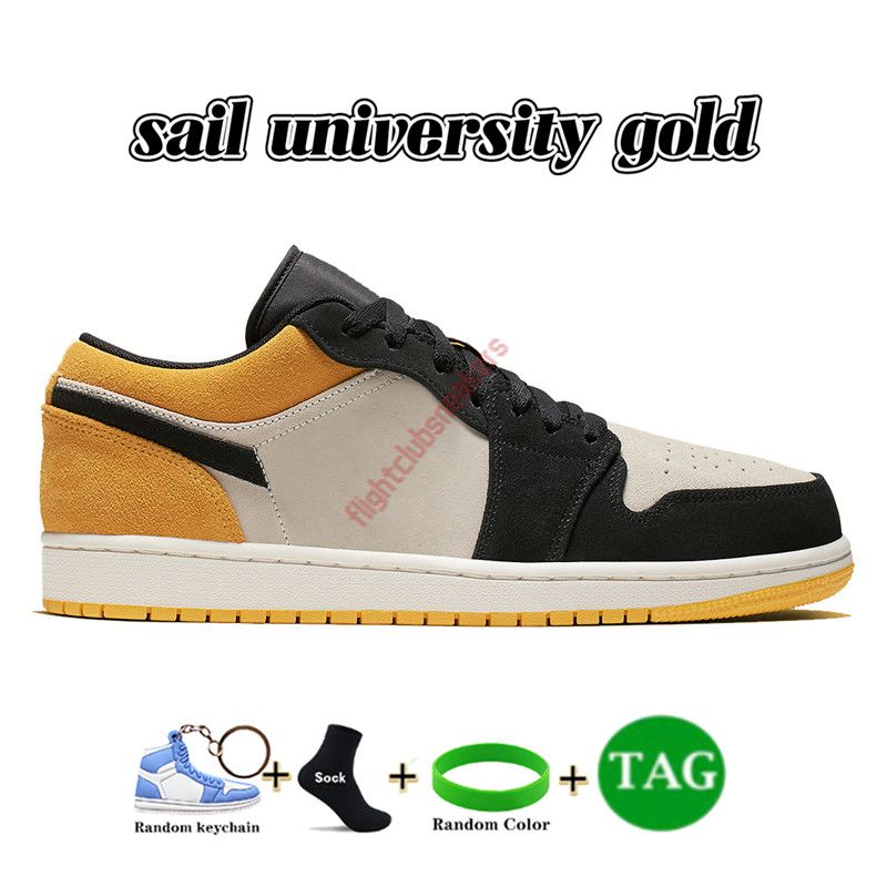 25 Sail University Gold