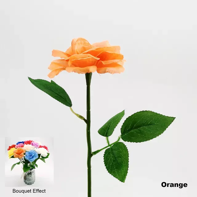 Oranje kleur