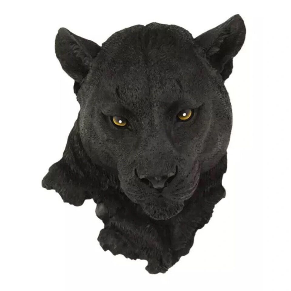 Cabeça de leopardo preto