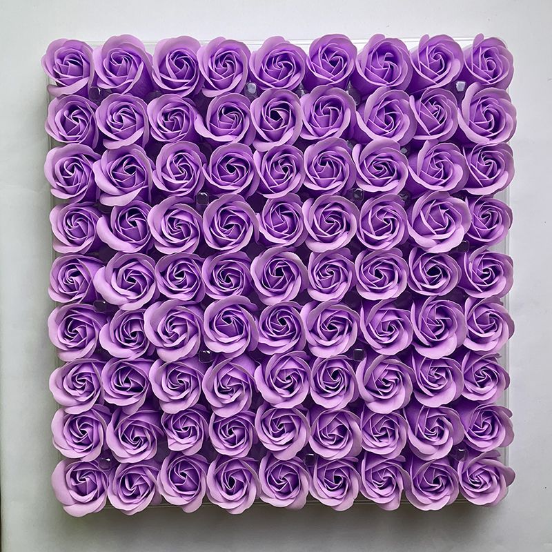 13 violets l￩gers