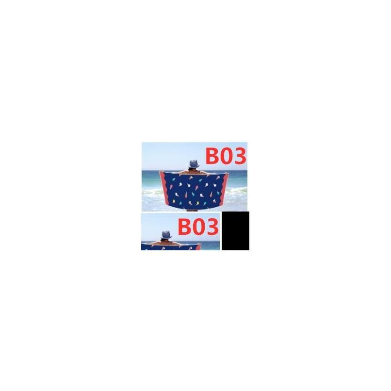 B03