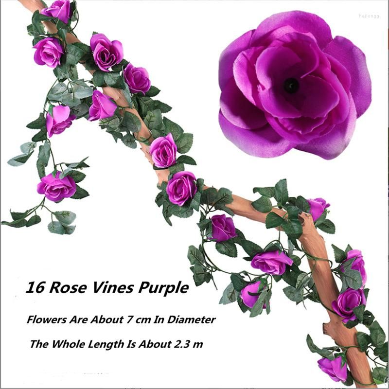 16 têtes violettes