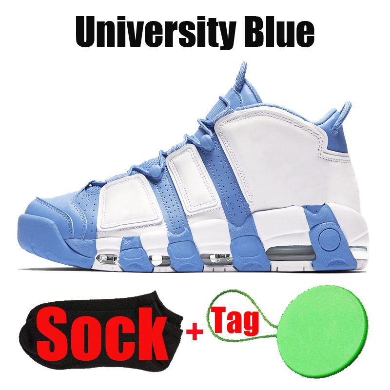 #13 University Blue