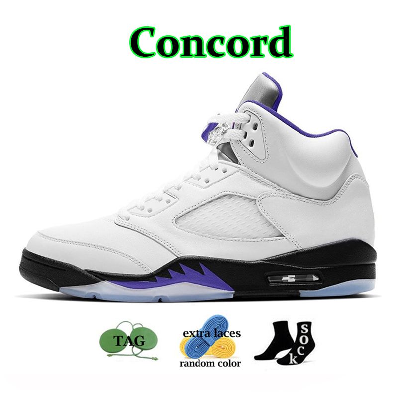 5S Concord