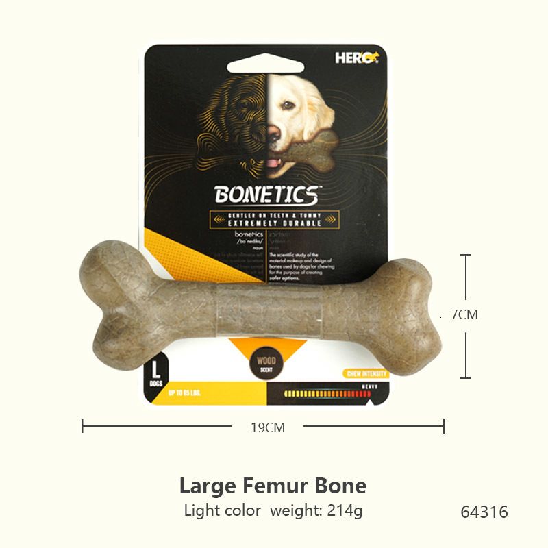 Femur Bone l Light-Choose a Style