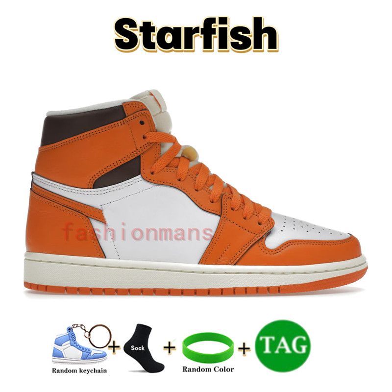 03 Starfish