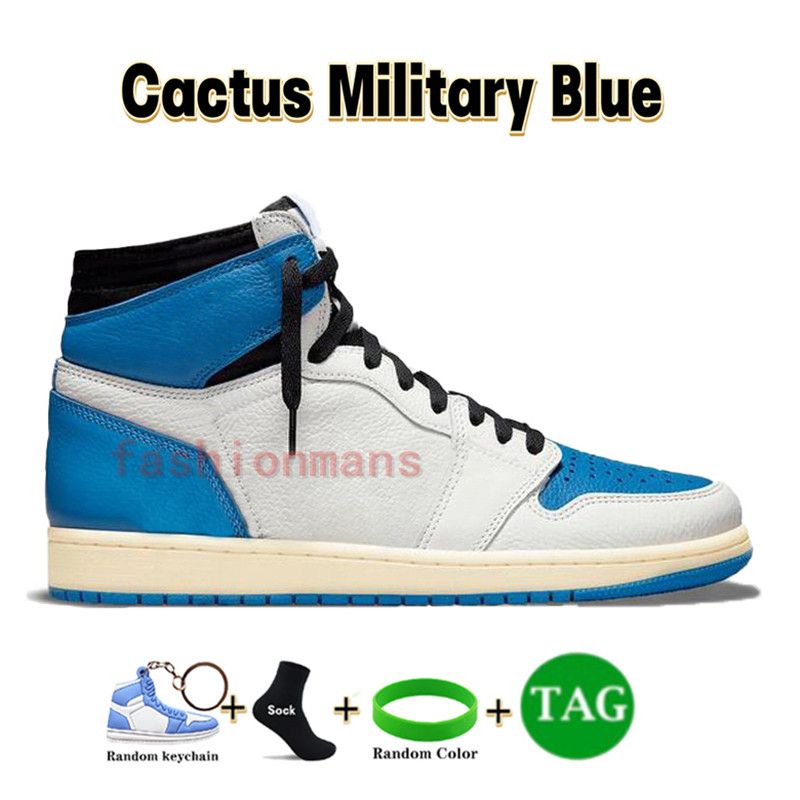 41 Cactus azul militar