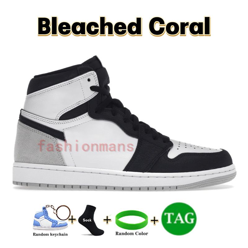 13 Bleached Coral