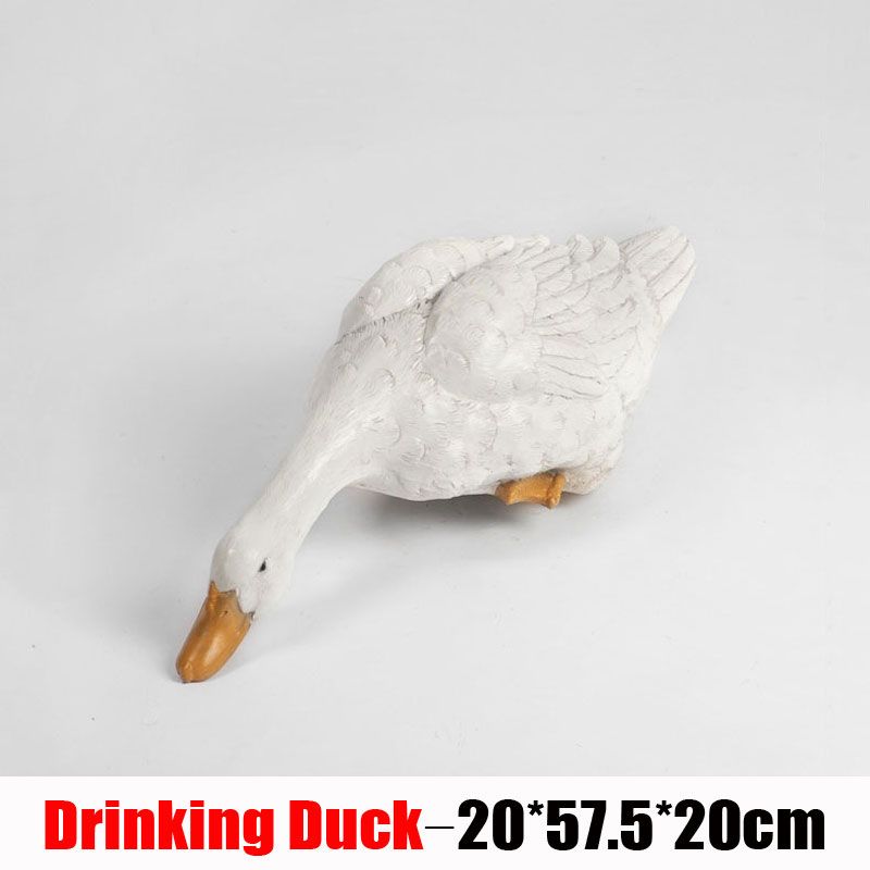 Drinking duck