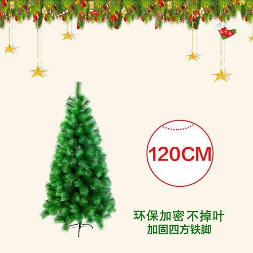 1.2m pine needle tre