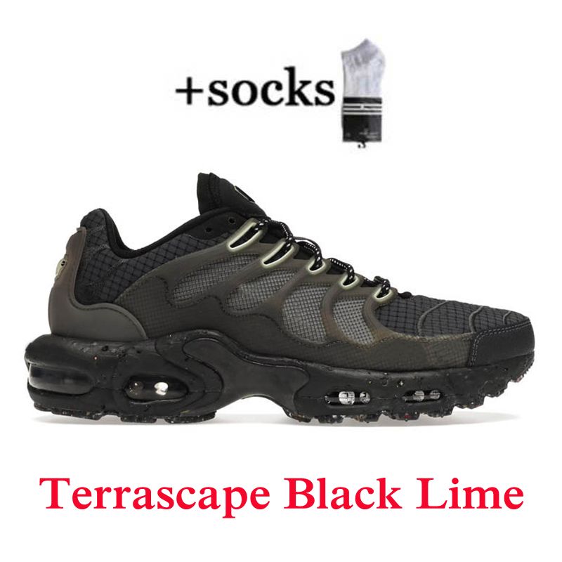 36-46 Terrascape Black Lime