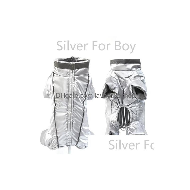 Silver-Boy