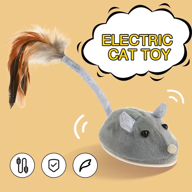 grå mus
