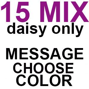 15 Mix Daisy