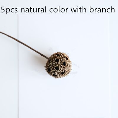 5st Natural Branch