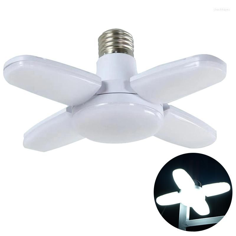 Only Fan Bulb