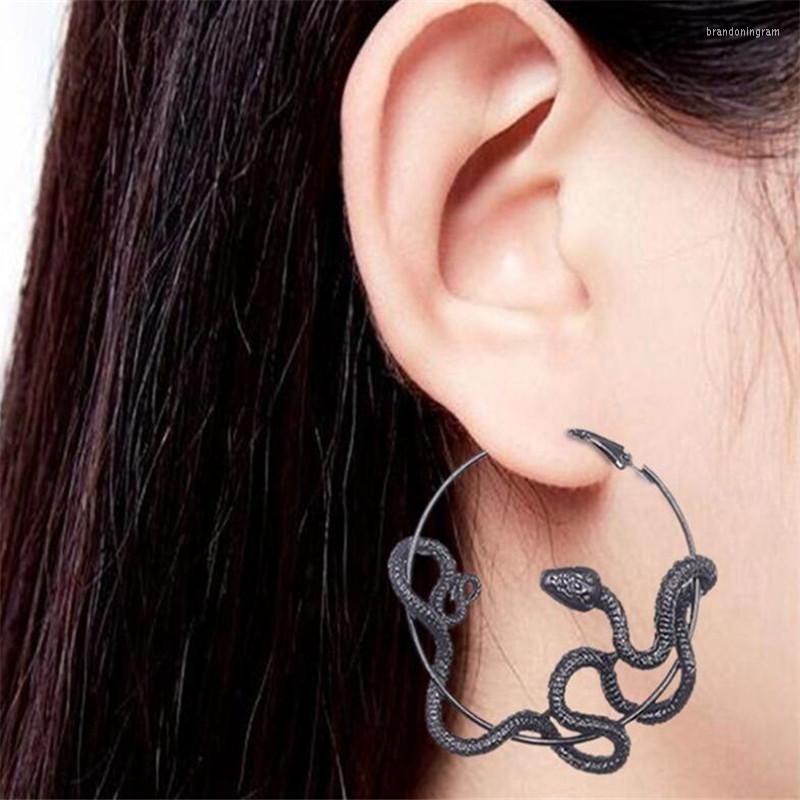 Gothic Piercing Jewelry, Accessories Earrings, Punk Accessories