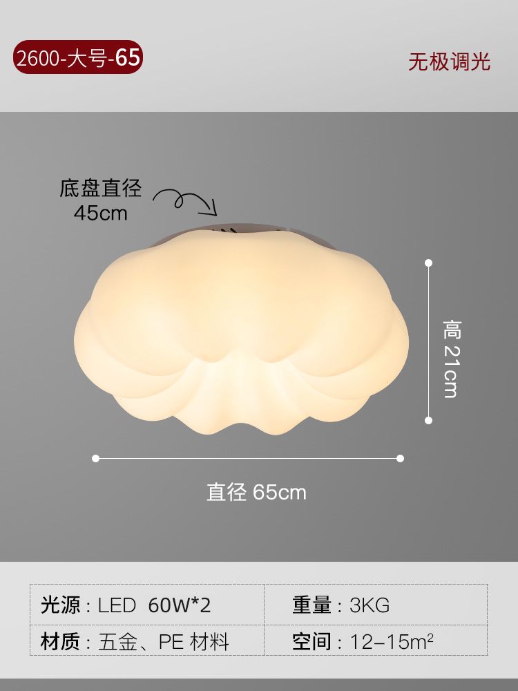 직경 65cm