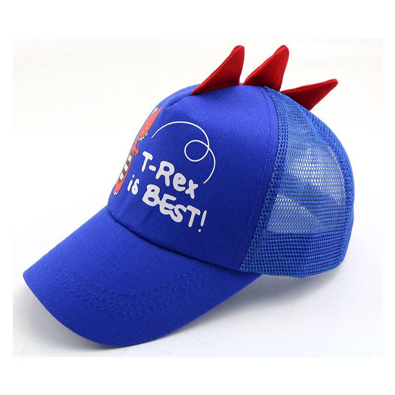 Blue-Net Cap