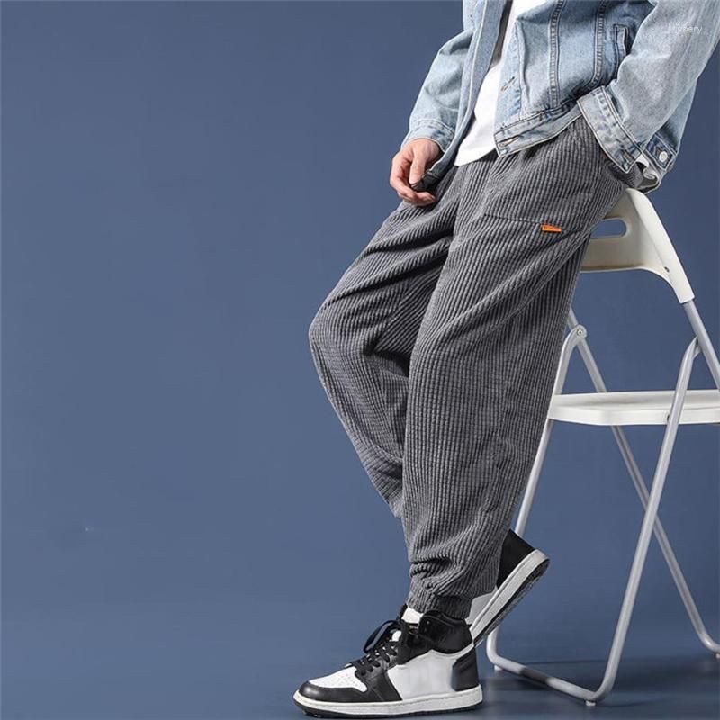 gray autumn pants