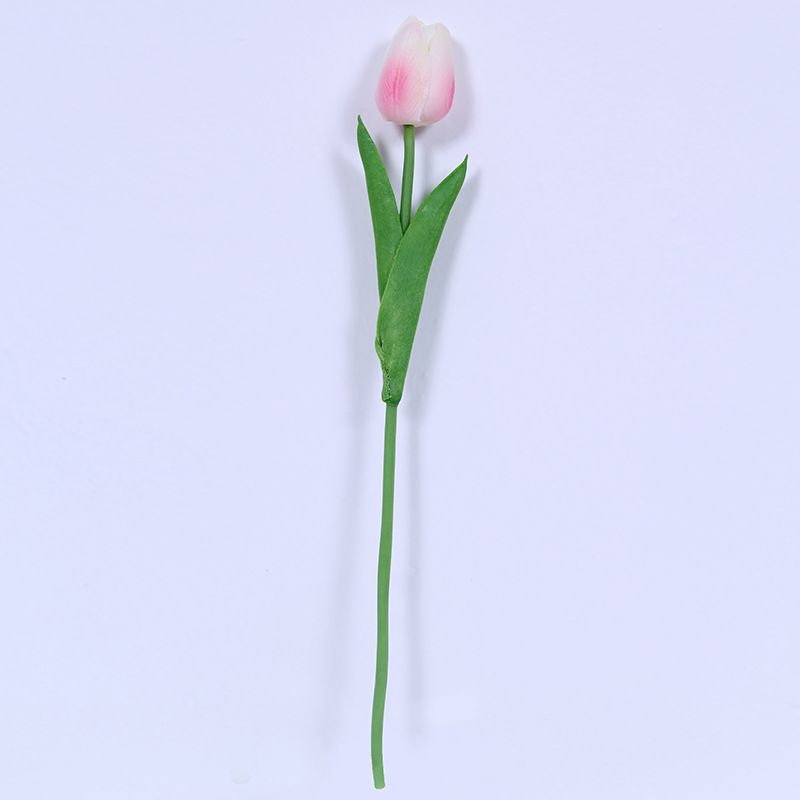 Light pink Tulips