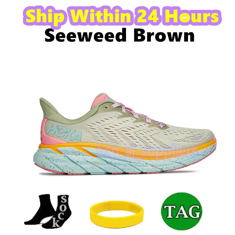 16 Seeweed Brown