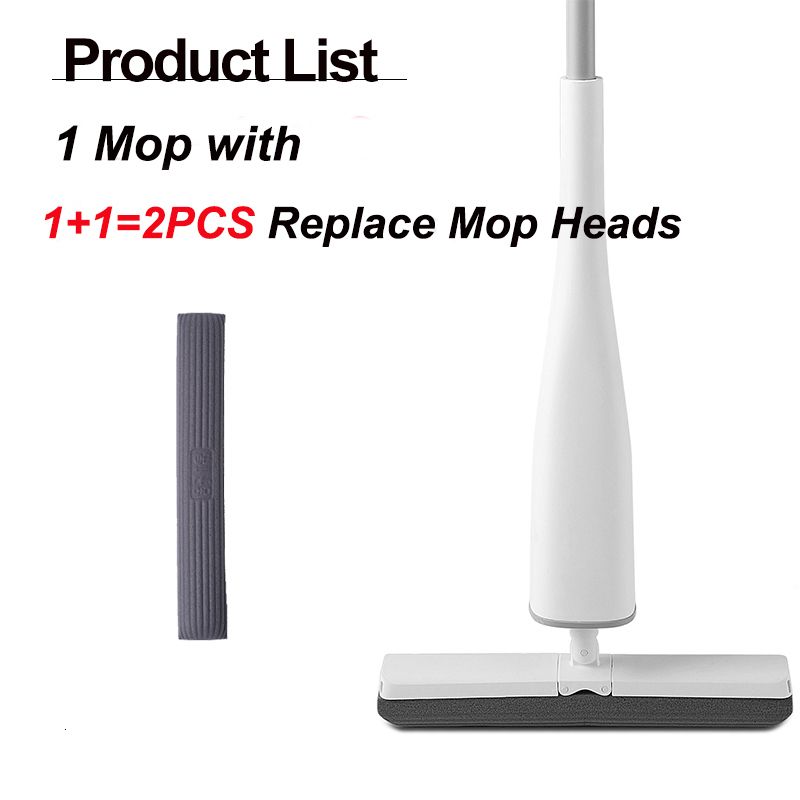 Mop with 2 Head