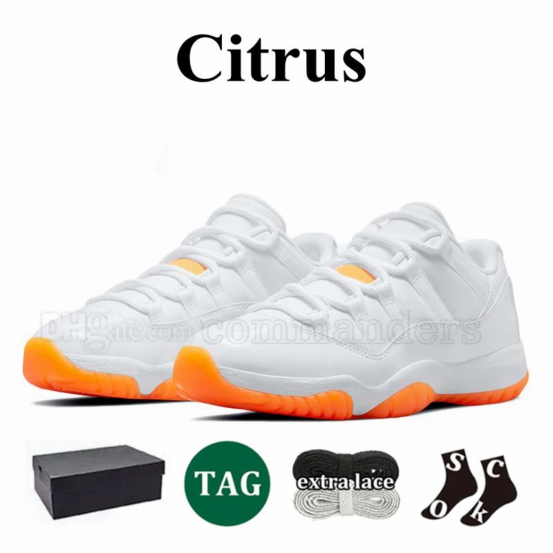 36-47 citrus