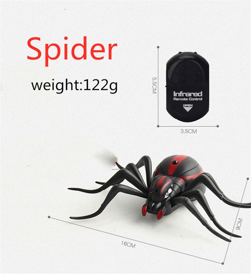 spider