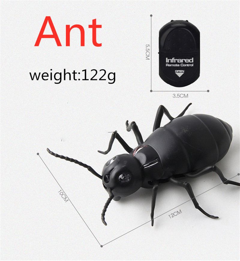 ant