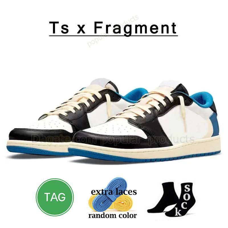 A12 TS X Fragment 36-47