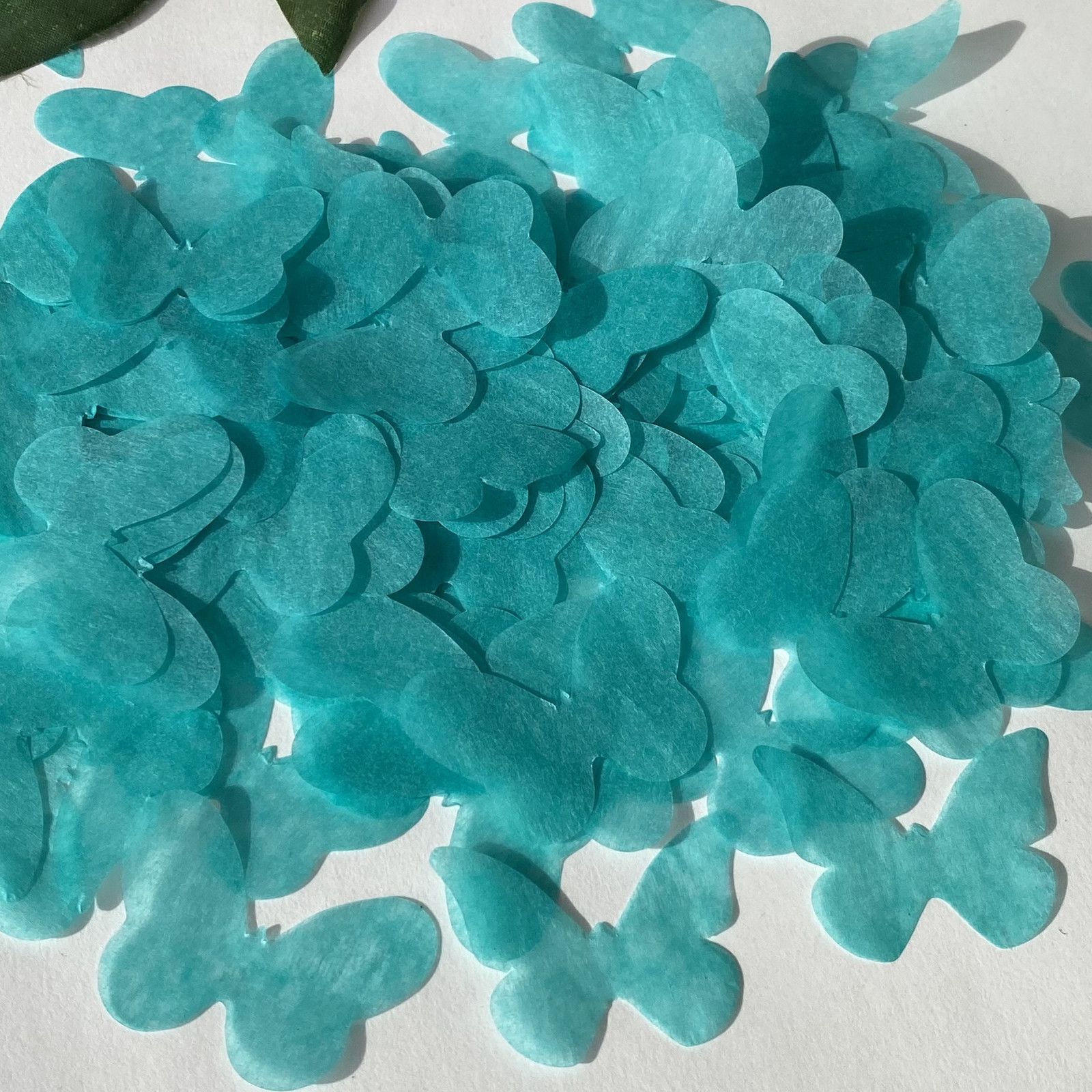 Teal-30G para 8 convidados