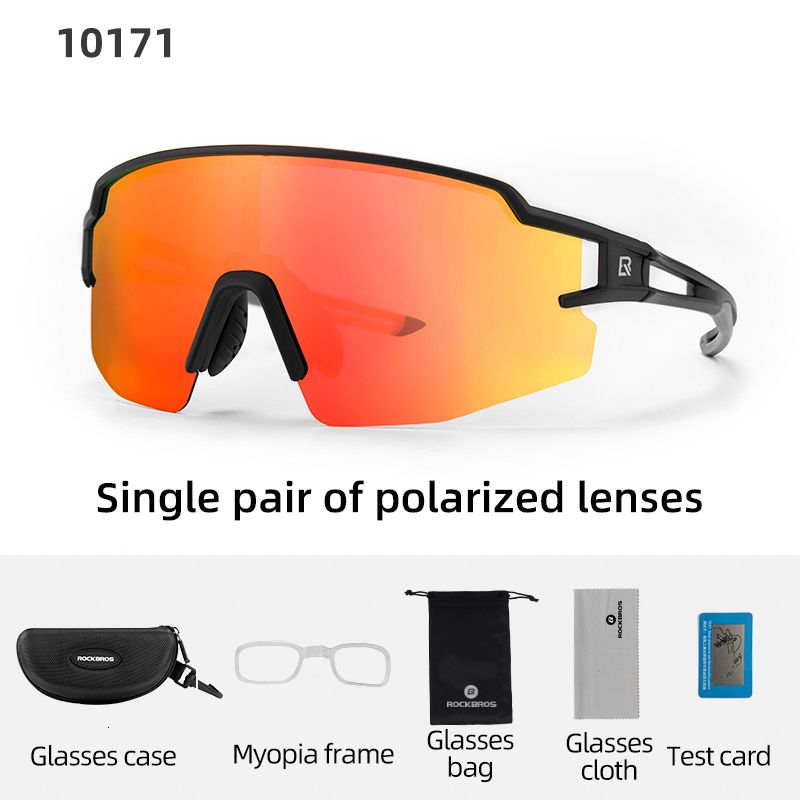 10171 Polarized