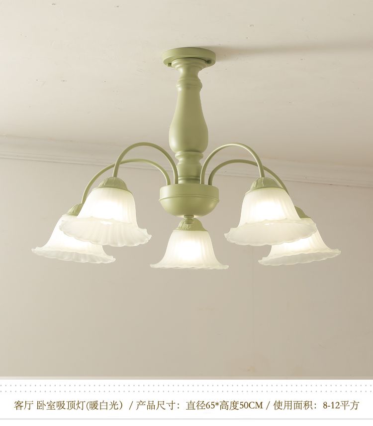 5 plafond vert Chine