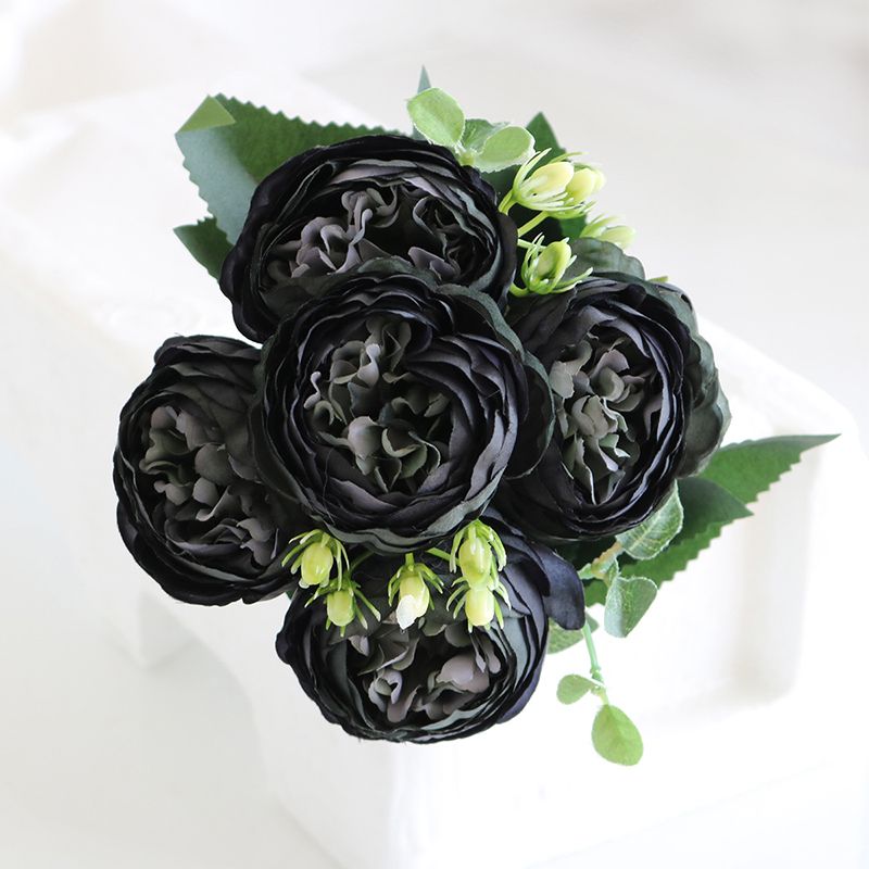 schwarz lila
